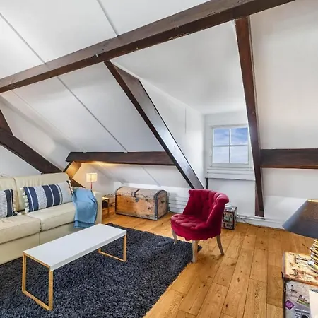 Marais Rooftop Appartamento